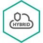 Kaspersky Lab Hybrid Cloud Security for Server Base 1 anno/i (KL4255XAAFS)