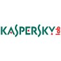 Kaspersky Lab Hybrid Cloud Security Server European Edition, 2 - VirtualServer, 1y, Base Licenza 1 anno/i (KL4255XABFS)