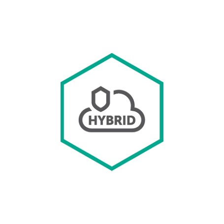 Kaspersky Lab Hybrid Cloud Security (KL4253XABDS)