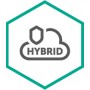 Kaspersky Lab Hybrid Cloud Security (KL4253XABDS)