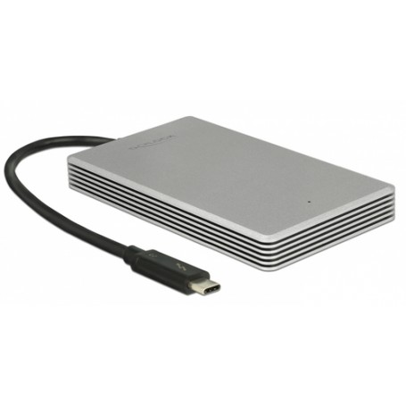 DeLOCK Thunderbolt 3 240 GB Argento (54000)