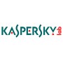 Kaspersky Lab Internet Security 2019 Tedesca 10 licenza/e 2 anno/i (KL1939GCKDR)