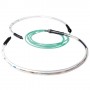 ACT RL4220 cavo a fibre ottiche 200 m 8x LC OM3 Trasparente (RL4220)