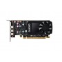 Fujitsu S26361-F4066-L400 scheda video NVIDIA Quadro P400 2 GB GDDR5 (S26361-F4066-L400)