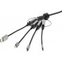 Vivolink PROADRING3C scheda di interfaccia e adattatore Interno HDMI, Mini DisplayPort, USB 3.2 Gen 1 (3.1 Gen 1) (PROADRING3C)