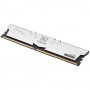 Team Group Classic 10L memoria 16 GB 2 x 8 GB DDR4 3200 MHz (TTCCD432G3200HC22DC01)
