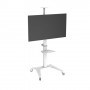 PureLink PDS-0003C Supporto TV a parete 2,03 m (80") Bianco (PDS-0003C)