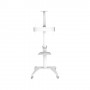 PureLink PDS-0003C Supporto TV a parete 2,03 m (80") Bianco (PDS-0003C)