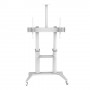 PureLink PDS-0013C Supporto TV a parete 2,29 m (90") Bianco (PDS-0013C)
