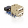DeLOCK 1 x 9-pin 2.54 mm/2 x USB 2.0-A Nero, Blu, Argento (41825)