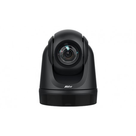 AVer DL30 webcam 2 MP 1920 x 1080 Pixel USB Nero (61S5000000AC)