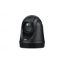 AVer DL30 webcam 2 MP 1920 x 1080 Pixel USB Nero (61S5000000AC)