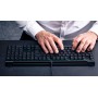 CHERRY MX 10.0N tastiera USB QWERTZ Tedesco Nero (G8A-25010LVBDE-2)