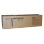 KYOCERA DV-172 stampante di sviluppo 100000 pagine (302LZ93020)