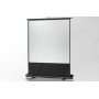 Celexon 4260094732119 schermo per proiettore 1:1 (1090369)