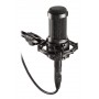 Audio-Technica AT2035 microfono (AT2035)