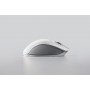 Razer PRO CLICK mouse Mano destra Wireless a RF + Bluetooth Ottico 16000 DPI (RZ01-02990100-R3M1)