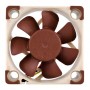 Noctua NF-A4x10 FLX Case per computer Ventilatore 4 cm (NF-A4x10 FLX)
