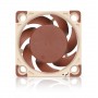 Noctua NF-A4x20 PWM Case per computer Ventilatore 4 cm Beige, Marrone (NF-A4x20 PWM)