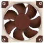 Noctua NF-A8 FLX ventola per PC Case per computer Ventilatore 8 cm Beige, Marrone (NF-A8 FLX)