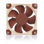 Noctua NF-A8 Case per computer Ventilatore 8 cm Beige, Marrone (NF-A8 5V PWM)