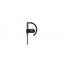 Bang & Olufsen Earset Cuffia Auricolare USB tipo-C Bluetooth Marrone (1646002)