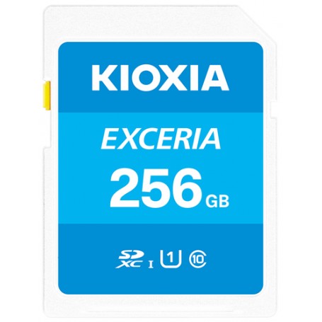 Kioxia Exceria memoria flash 256 GB MicroSDXC UHS-I Classe 10 (LNEX1L256GG4)