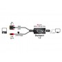 DeLOCK 0.3m, DVI 24+1 + USB-A/Displayport 20p 0,3 m DVI-D + USB HDMI Nero (62596)