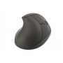 Digitus DA-20155 mouse Mano destra RF Wireless Ottico 1600 DPI (DA-20155)