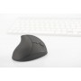 Digitus DA-20155 mouse Mano destra RF Wireless Ottico 1600 DPI (DA-20155)