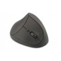 Digitus DA-20155 mouse Mano destra RF Wireless Ottico 1600 DPI (DA-20155)