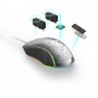 Hama Reaper 210 mouse USB tipo A Ottico 4800 DPI (00186050)