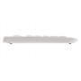 CHERRY KC 1000 tastiera USB AZERTY Belga Grigio (JK-0800BE-0)