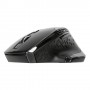 Targus AMW584GL mouse Mano destra RF Wireless Blue Trace 1600 DPI (AMW584GL)