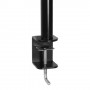 ARCTIC Z2 Basic 68,6 cm (27") Morsa Nero (AEMNT00040A)