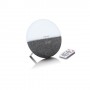 Lenco CRW-4 Orologio Digitale Grigio, Bianco (CRW-4 Grey)