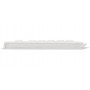 CHERRY KC 1068 tastiera USB QWERTY Inglese US Grigio (JK-1068EU-0)