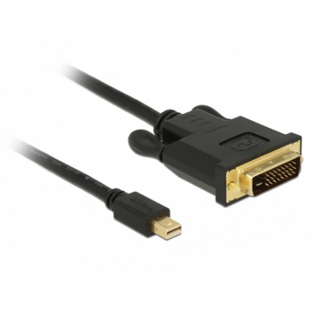 DeLOCK 83989 cavo e adattatore video 2 m Mini DisplayPort DVI-D Nero (83989)