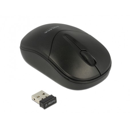 DeLOCK 12494 mouse Ambidestro RF Wireless Ottico 1000 DPI (12494)