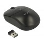 DeLOCK 12494 mouse Ambidestro RF Wireless Ottico 1000 DPI (12494)