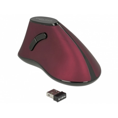 DeLOCK 12528 mouse Mano destra RF Wireless Ottico 1000 DPI (12528)