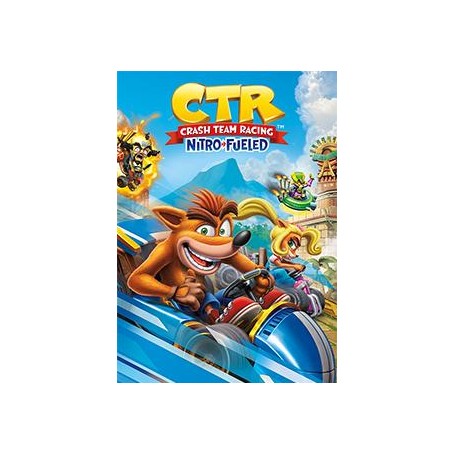 Activision Blizzard Crash Team Racing Nitro-Fueled Basic Nintendo Switch (88398GM)