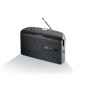 Grundig Music 60 Portatile Grigio (GRN1500)
