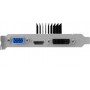 Palit NEAT7300HD46H scheda video NVIDIA GeForce GT 730 2 GB GDDR3 (NEAT7300HD46H)