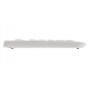 CHERRY KC 1000 tastiera USB QWERTY Inglese UK Grigio (JK-0800GB-0)