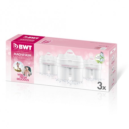 BWT 814133 accessorio per filtraggio acqua Ricambio filtro per acqua 3 pz (814133)
