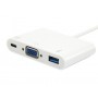 Equip 133462 hub di interfaccia USB 3.2 Gen 1 (3.1 Gen 1) Type-C Bianco (133462)