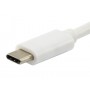 Equip 133462 hub di interfaccia USB 3.2 Gen 1 (3.1 Gen 1) Type-C Bianco (133462)