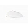 Baaske Medical Meditouch LS01 mouse Ambidestro Laser 800 DPI (2011319)