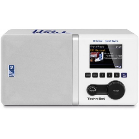 TechniSat 300 BR Portatile Analogico e digitale Grigio, Bianco (0001/4993)